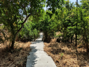 Satılır 3 sot torpaq Bakıxanov