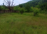 Satılır 28 sot torpaq Qəbələ