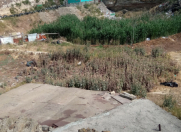 Satılır 30 sot torpaq Binəqədi r.