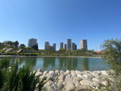 Satılır 3 otaqlı 200 m2 obyekt Ağ şəhər