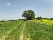 Satılır 192 sot torpaq Quba