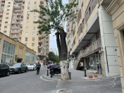 Satılır 1 otaqlı 285 m2 obyekt Nizami m.