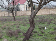 Satılır 4.1 sot torpaq Sumqayıt