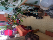 Satılır 2 otaqlı 70 m2 köhnə tikili Bayıl parkı