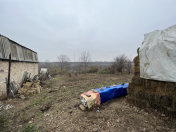 Satılır 27 sot torpaq Göygöl