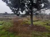 Satılır 22.5 sot torpaq Ulduz m.