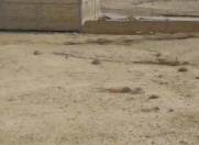 Satılır 4 sot torpaq Sədərək ticarət mərkəzi