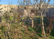 İcarəyə verilir 4 otaqlı 100 m2 bağ evi Pirşağı