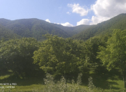 Satılır 40 sot torpaq Oğuz