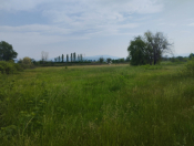 Satılır 150 sot torpaq Xaçmaz