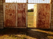 Satılır 36 sot torpaq Bilgəh