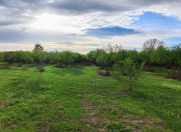 Satılır 1.2 sot torpaq Qəbələ