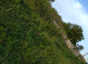 Satılır 8 sot torpaq Şamaxı