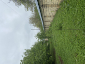 Satılır 10 sot torpaq Qəbələ