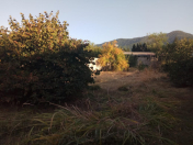 Satılır 5.4 sot torpaq Zaqatala