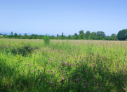 Satılır 76 sot torpaq Qəbələ