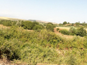 Satılır 5 sot torpaq Qəbələ