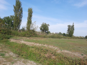 Satılır 42 sot torpaq Lənkəran