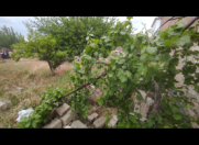 Satılır 7 sot torpaq Sumqayıt