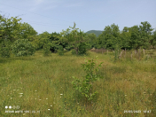 Satılır 12 sot torpaq Qəbələ