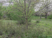 Satılır 10 sot torpaq Qusar