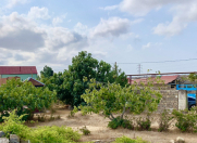 Satılır 34.7 sot torpaq Albalı