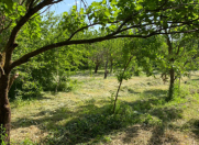 Satılır 17 sot torpaq Bərdə