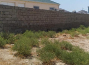 Satılır 6 sot torpaq Hövsan