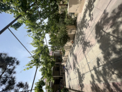 Satılır 5 otaqlı 120 m2 həyət evi Şağan