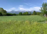 Satılır 120 sot torpaq Qəbələ