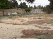 Satılır 6 sot torpaq Biləcəri