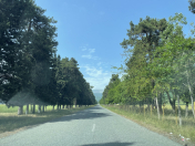 Satılır 14 sot torpaq İsmayıllı