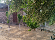 Satılır 8 sot torpaq Sea Breeze Resort