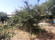 Satılır 4 otaqlı 156 m2 həyət evi Mehdiabad