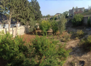 Satılır 7 otaqlı 300 m2 bağ evi Albalı