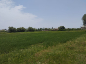 Satılır 35 sot torpaq Sabirabad