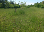 Satılır 16 sot torpaq İsmayıllı