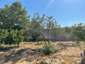 Satılır 28 sot torpaq Buzovna