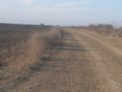 Satılır 11996 sot torpaq Salyan