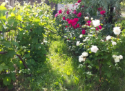 İcarəyə verilir 6 otaqlı 640 m2 bağ evi Pirşağı