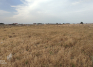 Satılır 16 sot torpaq Nardaran