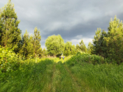 Satılır 800 sot torpaq İmişli