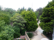 İcarəyə verilir 5 otaqlı 450 m2 bağ evi Abşeron r.