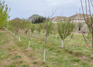 Satılır 15 sot torpaq Buzovna