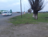 Satılır 900 sot torpaq Lənkəran