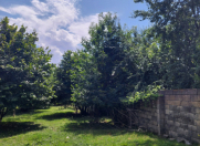 Satılır 70 sot torpaq Qəbələ