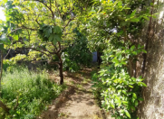 Satılır 2 otaqlı 48 m2 həyət evi Sumqayıt