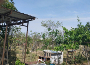 Satılır 2 otaqlı 50 m2 bağ evi Sumqayıt