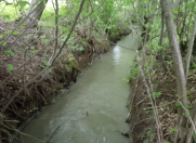 Satılır 24 sot torpaq Qusar