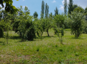 Satılır 15 sot torpaq İsmayıllı